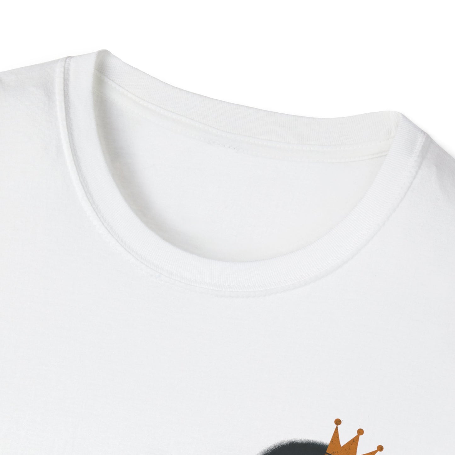 Sagittarius Zodiac Sign Unisex Softstyle T-Shirt