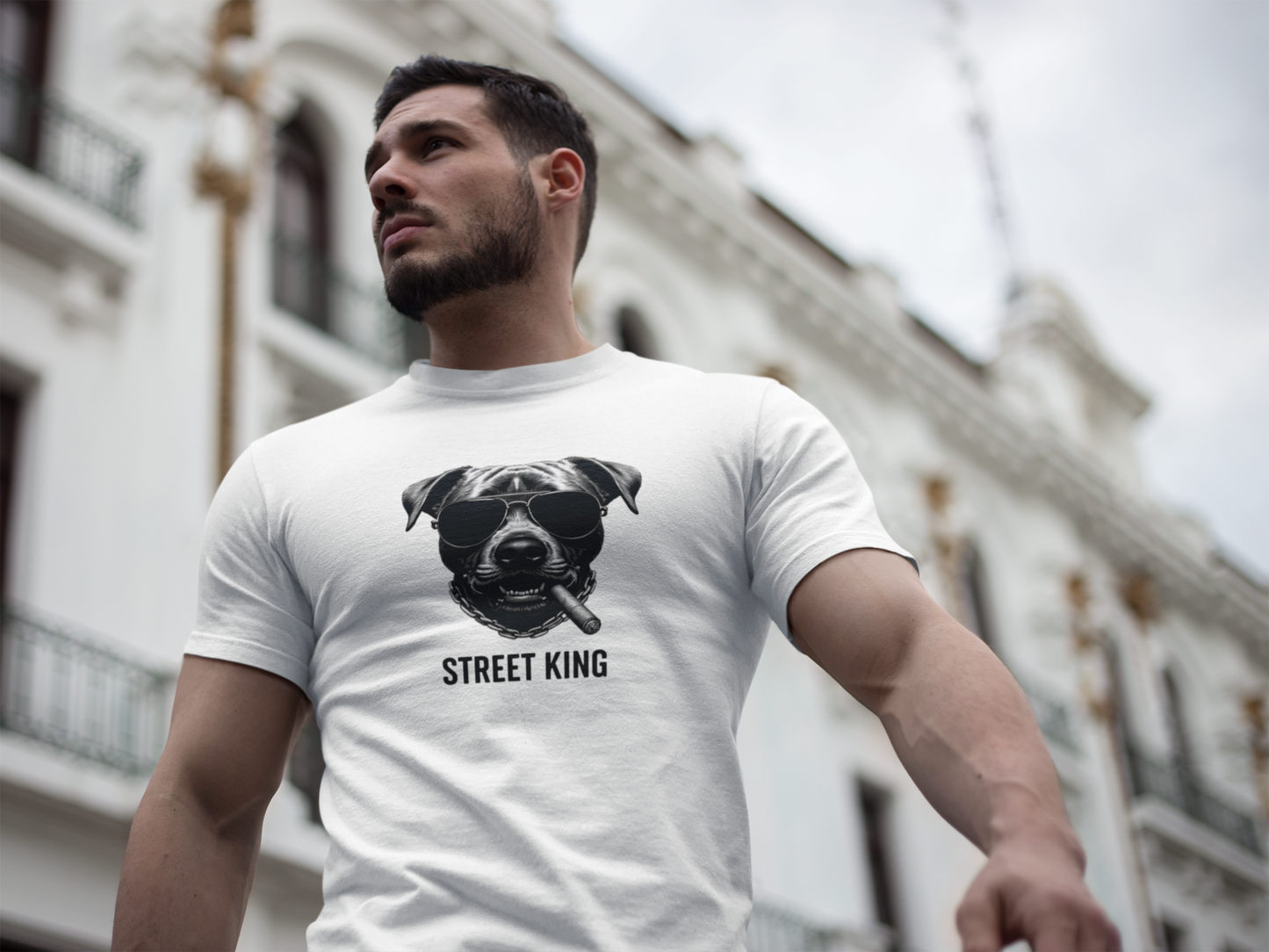 Street King